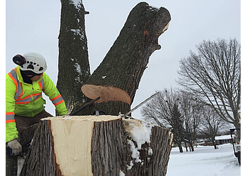 St Catharines tree service St. Catharines Tree Service