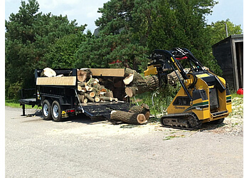 St Catharines tree service St. Catharines Tree Service
