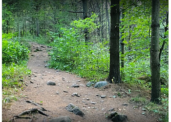 Guelph hiking trail Starkey Hill Conservation Area