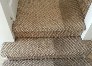 Peterborough carpet cleaning Steam-Care Carpet Cleaning