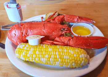 Steamers Lobster Co.
