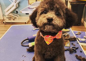 Burlington pet grooming Stephanie’s Pet Grooming Inc.