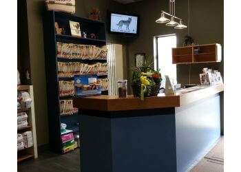 Hamilton veterinary clinic Stone Church Animal Clinic