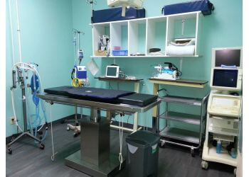 Hamilton veterinary clinic Stone Church Animal Clinic