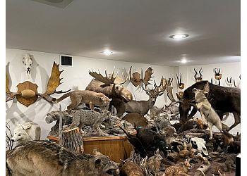 Sarnia Attraction touristiques Stones 'N Bones Museum