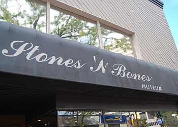 Stones 'N Bones Museum