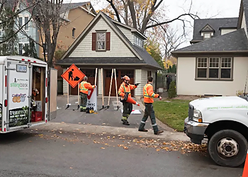 Storybook Tree Services - Oakville, ON Tree Services - Team Working Image