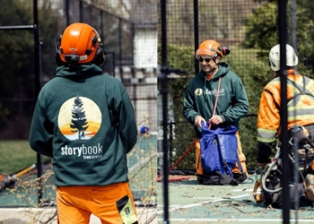 Oakville tree service Storybook Tree Services