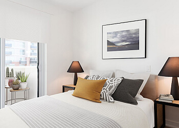 Brampton Appartements à louer Story of Brampton Central