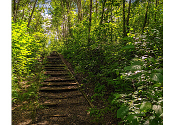 Sherwood Park Sentiers De Randonnée Strathcona Science Provincial Park
