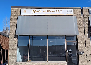 Brossard Dresseurs De Chiens Studio Anima-Pro Brossard