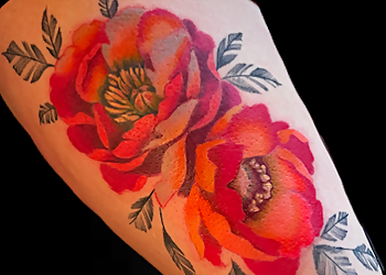Studio Y Tattoo Studio Y Tattoo - Stratford, ON Tattoo Shops - Design Image