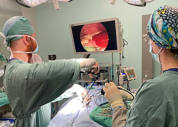 Sturgeon Animal Hospital - St Albert, AB Veterinary Clinics - Doctor Working Image
