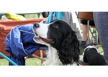 Halifax dog trainer Sublime Canine Services