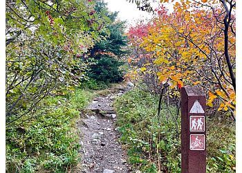 St Johns hiking trail Sugarloaf Path