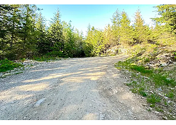 Abbotsford hiking trail Sumas Mountain Regional Park
