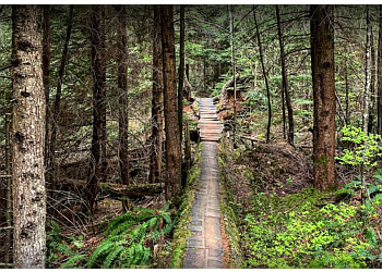 Abbotsford hiking trail Sumas Mountain Regional Park