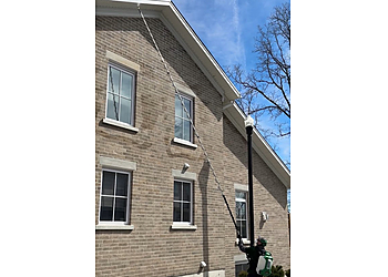 Guelph pest control Summit Pest Control