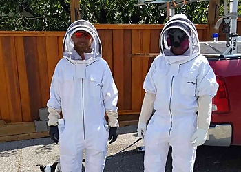 Summit Wildlife Solutions - Surrey, BC Animal Removal - On-Site Service Image