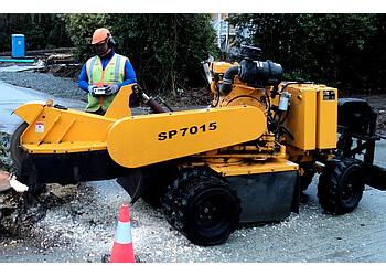 Coquitlam tree service Sumo Stump Grinding