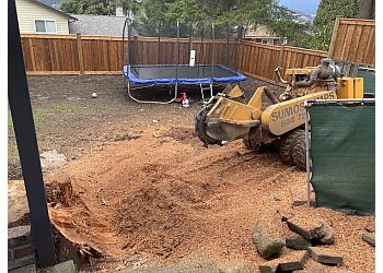 Coquitlam tree service Sumo Stump Grinding