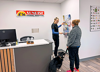 St Johns veterinary clinic Sunrise Animal Hospital