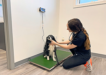 St Johns veterinary clinic Sunrise Animal Hospital