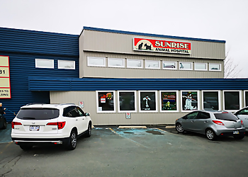 St Johns veterinary clinic Sunrise Animal Hospital