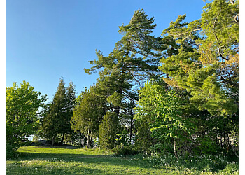 North Bay Parcs Publics Sunset park