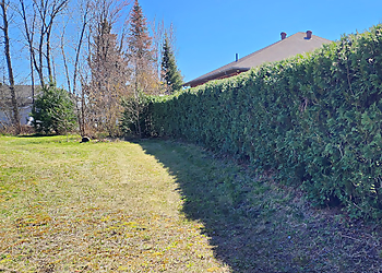 Sault Ste Marie lawn care service Superior Curb Appeal