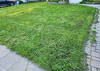 Sault Ste Marie Service D'Entretien De Pelouse Superior Curb Appeal