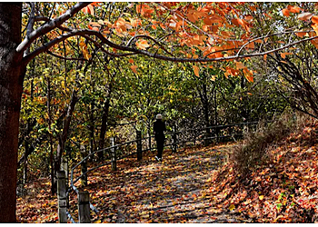 Markham hiking trail Swan Lake Park