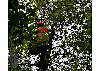 Orangeville Services d'arboriculteur Sweet Cherry Tree Care Ltd. 