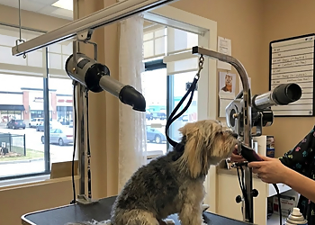 Sweet Paws Dog Grooming Services - Richmond, BC Salons de Toilettage Pour Animaux De Compagnie - Service Image
