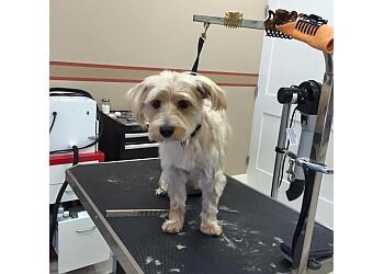 3 Best Pet Grooming in Richmond, BC - Expert Recommendations