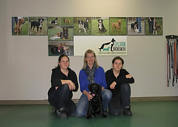 Sylvain Duchesneau-Éducateur Canin Comportementaliste - Terrebonne, QC Dog Trainers - Pet Owner Image