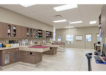 Oshawa veterinary clinic Taunton Road Animal Hospital