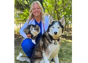 Sarnia Cliniques Vétérinaires The Rapids Veterinary Hospital