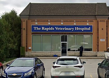 Sarnia veterinary clinic The Rapids Veterinary Hospital image 1