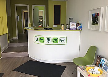 Stouffville veterinary clinic Thicketwood Veterinary Hospital