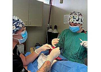 Stouffville veterinary clinic Thicketwood Veterinary Hospital