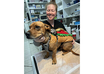 Langley veterinary clinic Thunderbird Animal Hospital