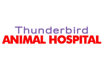 Langley veterinary clinic THUNDERBIRD ANIMAL HOSPITAL image 1