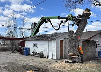 TNT Tree Service Ltd. - Winnipeg, MB Tree Services - Service Image