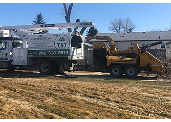 Winnipeg Services d'arboriculteur TNT Tree Services
