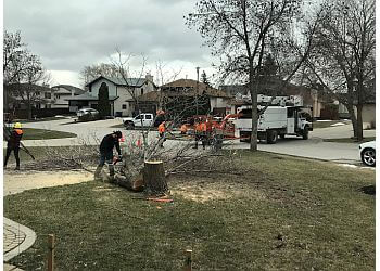 Winnipeg  TNT Tree Services