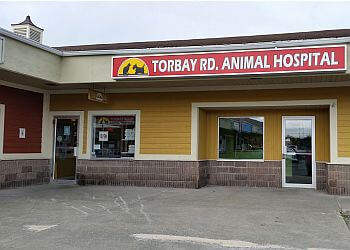 St Johns veterinary clinic TORBAY ROAD ANIMAL HOSPITAL image 1