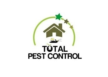 3 Best Pest Control In Langley Bc Expert Recommendations