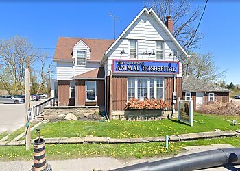 Stouffville veterinary clinic Town and Country Animal Hospital image 1