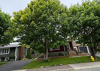 TREE EXPERTS - St Johns, NL Tree Services - Service Highlights